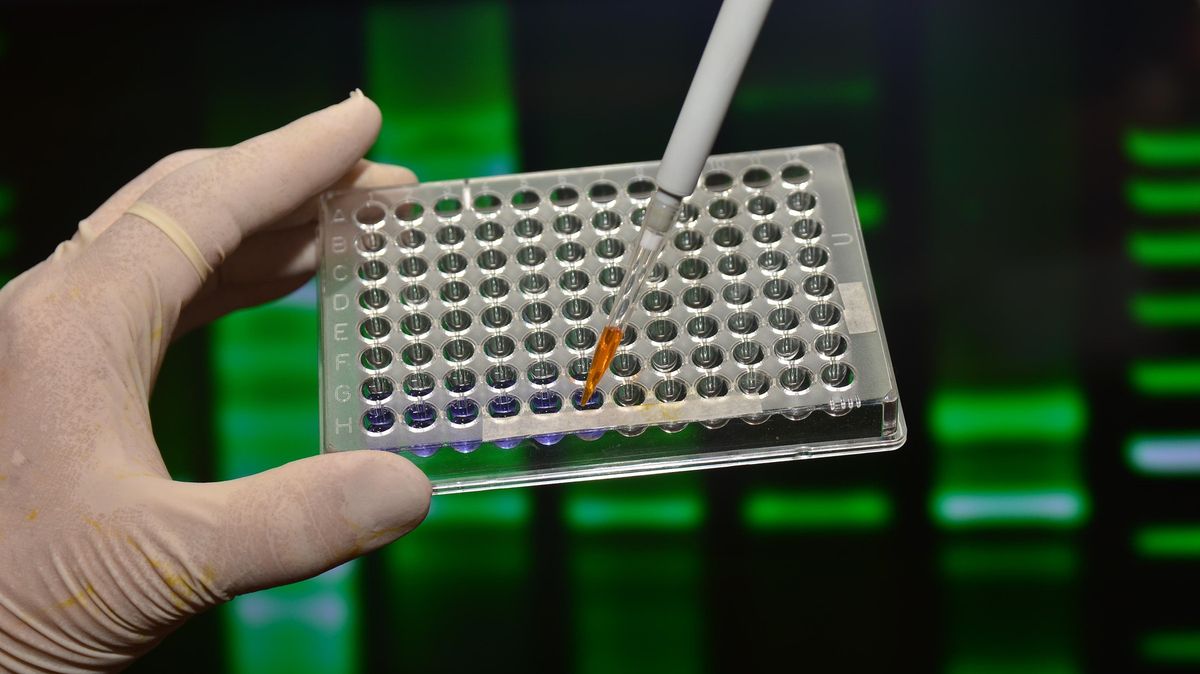 Ředitel kanadské laboratoře místo testů DNA odhadoval otcovství od stolu